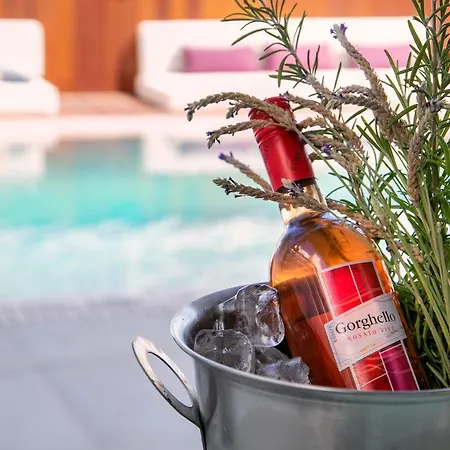 Villa Chris Le Mare Gold Luxury *